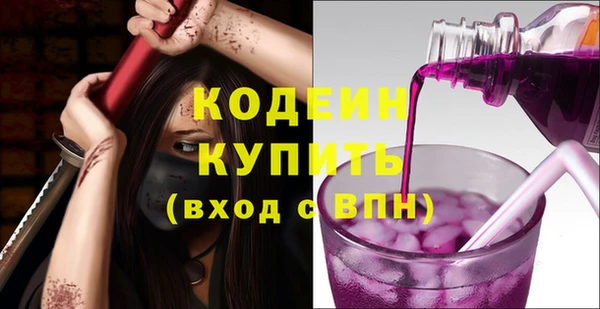 индика Верея