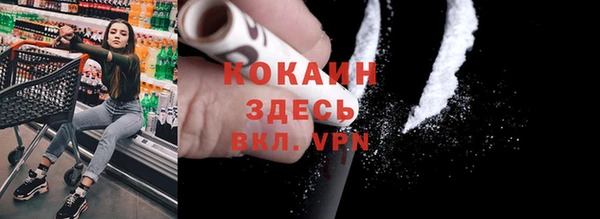 индика Верея