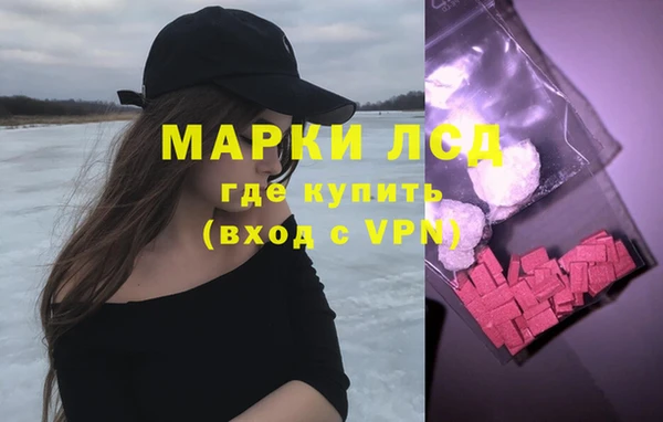 индика Верея