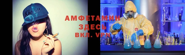 индика Верея