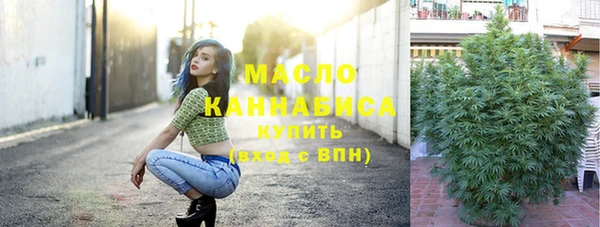 индика Верея