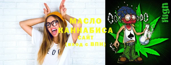 индика Верея