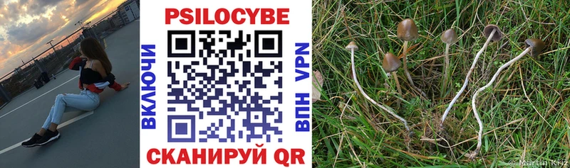 Купить где  Малая Вишера  Галлюциногенные грибы Magic Shrooms 